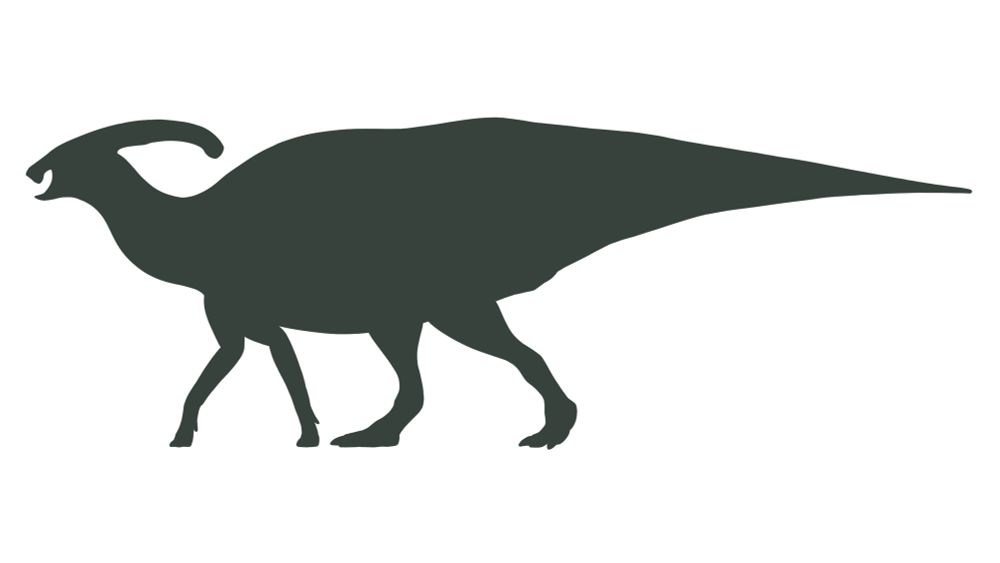 Parasaurolophus walkeri