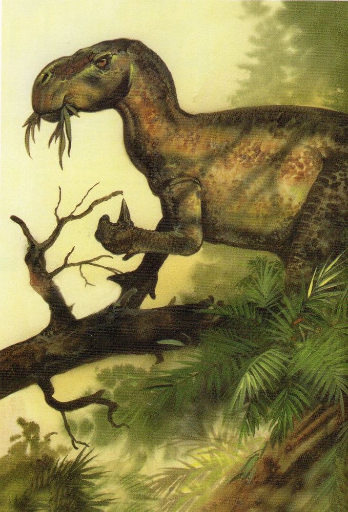 Iguanodon by Jan Sovak