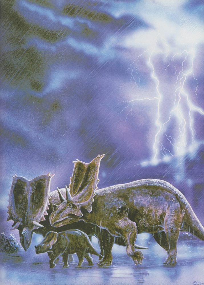 Chasmosaurus by Jan Sovak