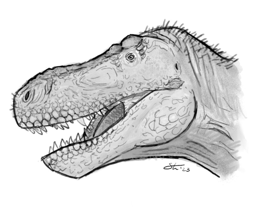 T. rex sketch.