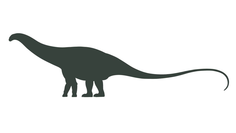 Apatosaurus louisae