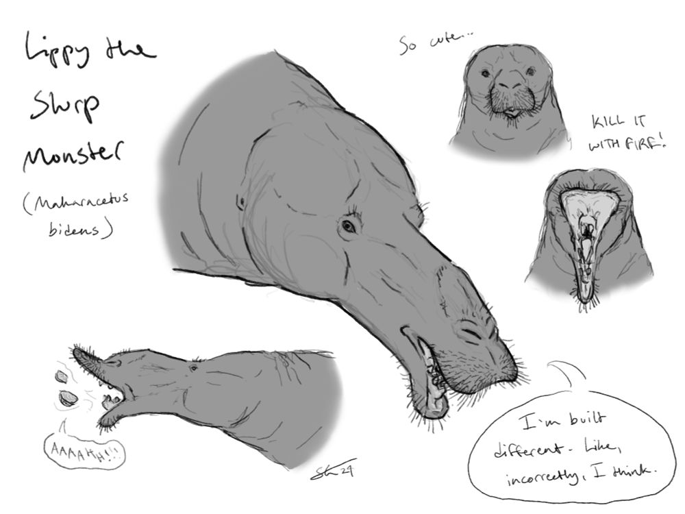 Some sketches exploring the reconstruction I’ve settled on. You know you love an animal when you’re willing to absolutely roast it.