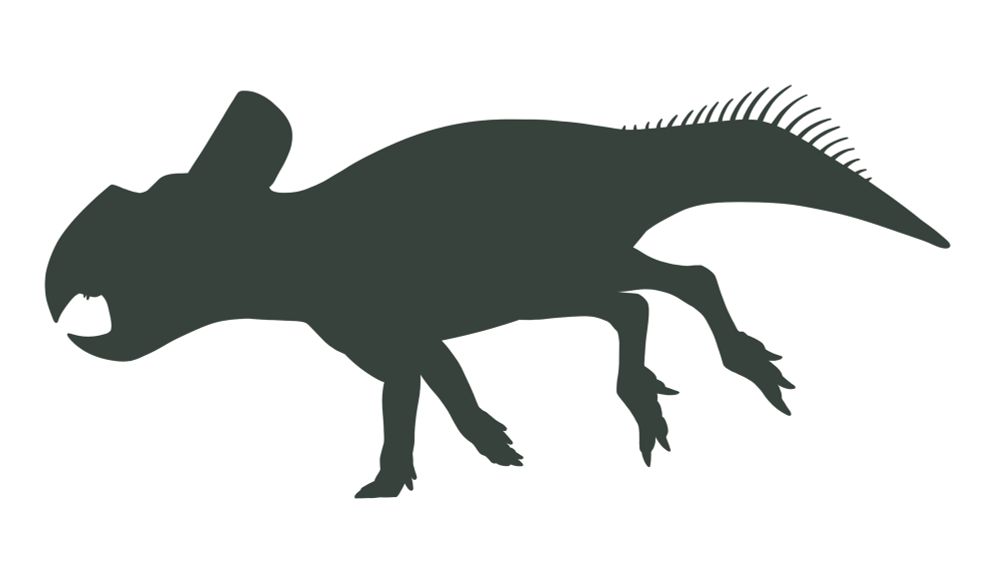 Protoceratops andrewsi