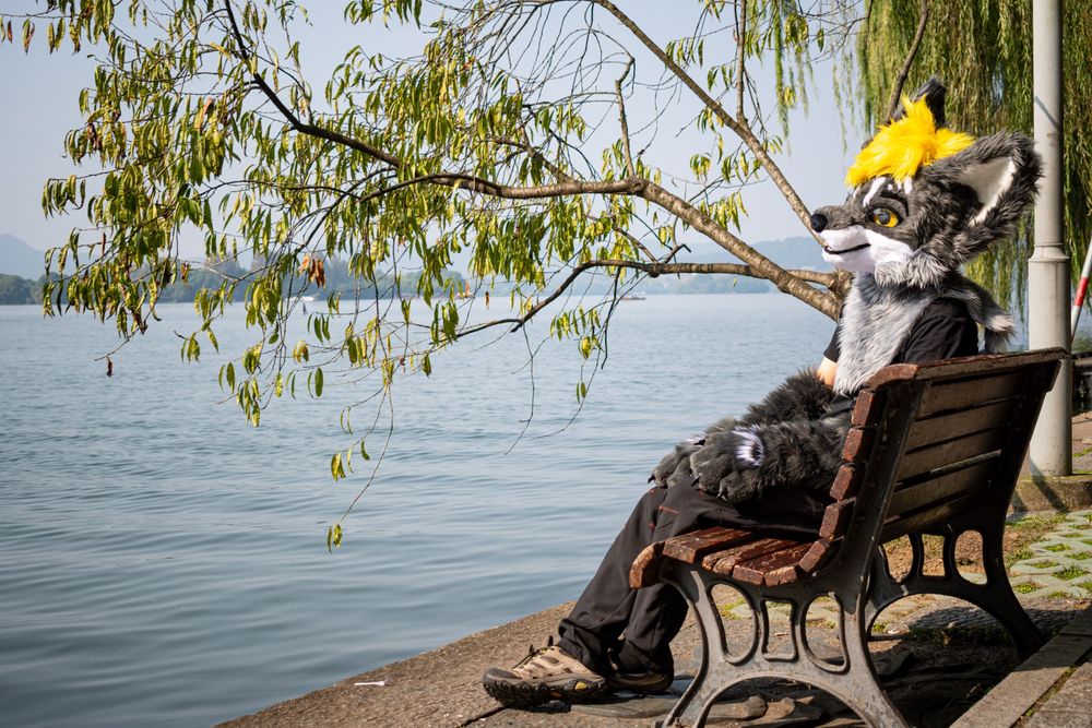 Au Fay (in the coyote fursuit head) sitting on a bench near the West Lake.