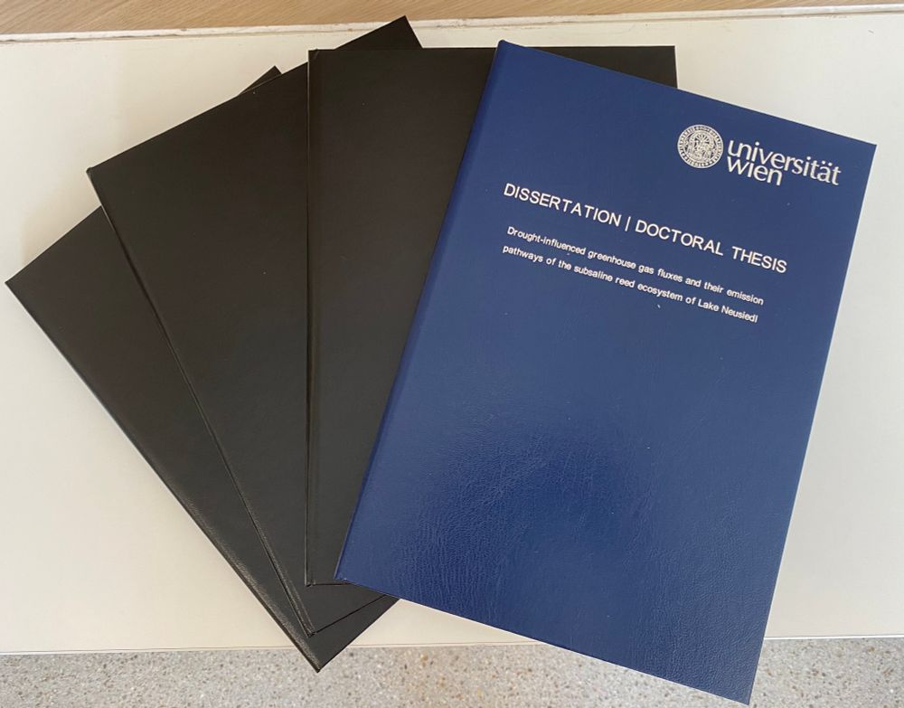 The printed copies of her doctoral thesis.
