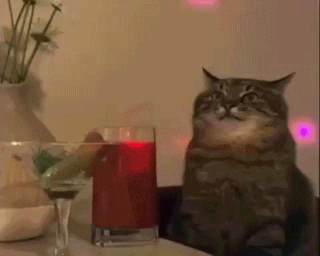 a cat sitting next to a glass of juice