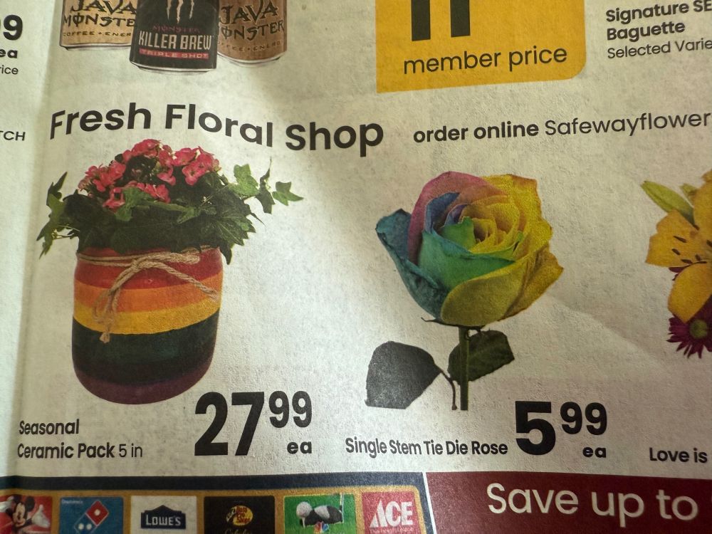 Image from the fresh floral shop on the Safeway flyer. On the left is a plant in a rainbow pot labeled “seasonal ceramic pack” and on the right is a rainbow colored rose titled “single stem tie die rose”