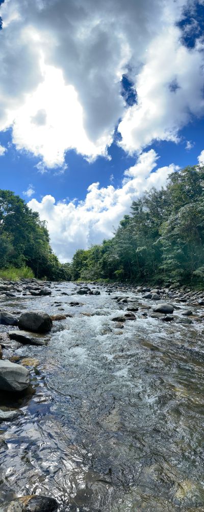 A river running through the foothills of the Puerto Rico Rainforest 
