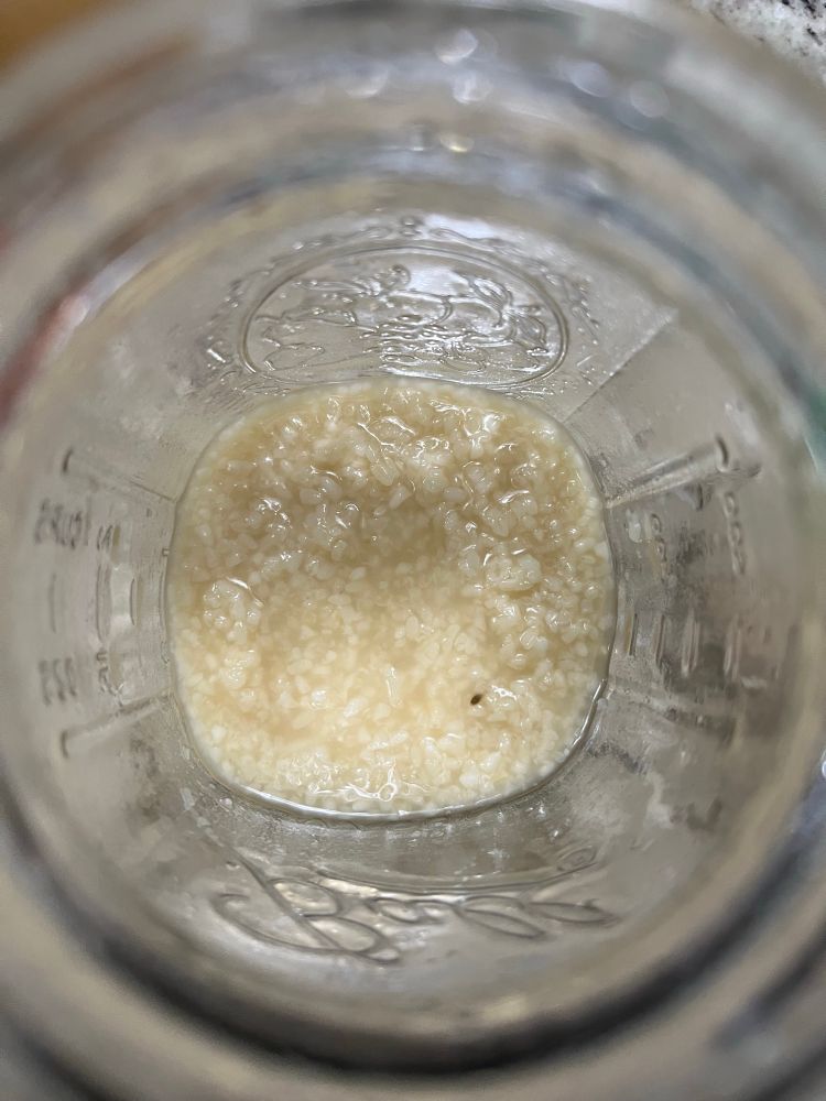 Quick ferment 58-60 degrees C for 6 hrs. Rice grains are very soft like porridge, and flavor is sweet, salty, and pleasantly complex - smells like mushrooms. Going to store at room temp and let it develop a little further.