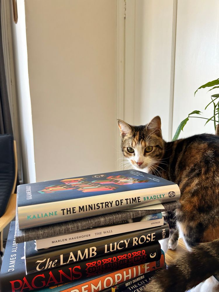A tiny cat called Panko who is black and white and ginger and grey and looks like she’s wearing eyeliner. She’s standing over a pile of hardback books wondering what she might read. Hours after this was taken, Panko had to go to the vets for her first ever checkup. She was a very good girl and even turned into a catloaf on the vets table. She was rewarded with cat biscuits and a big cuddle. She a good girl. 