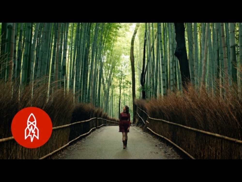 A Spirited Journey to Kyoto’s Most Isolated Restaurant