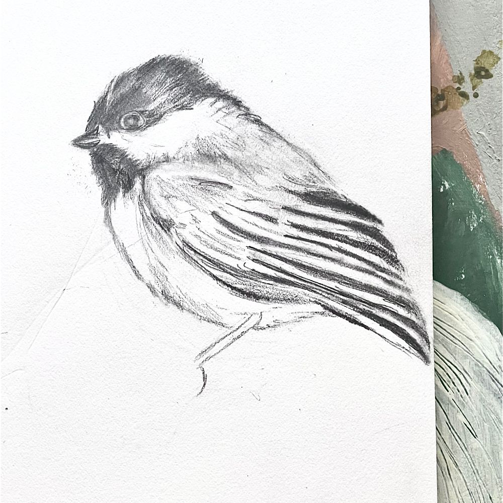 Pencil drawing of a chickadee in a sketchbook.
