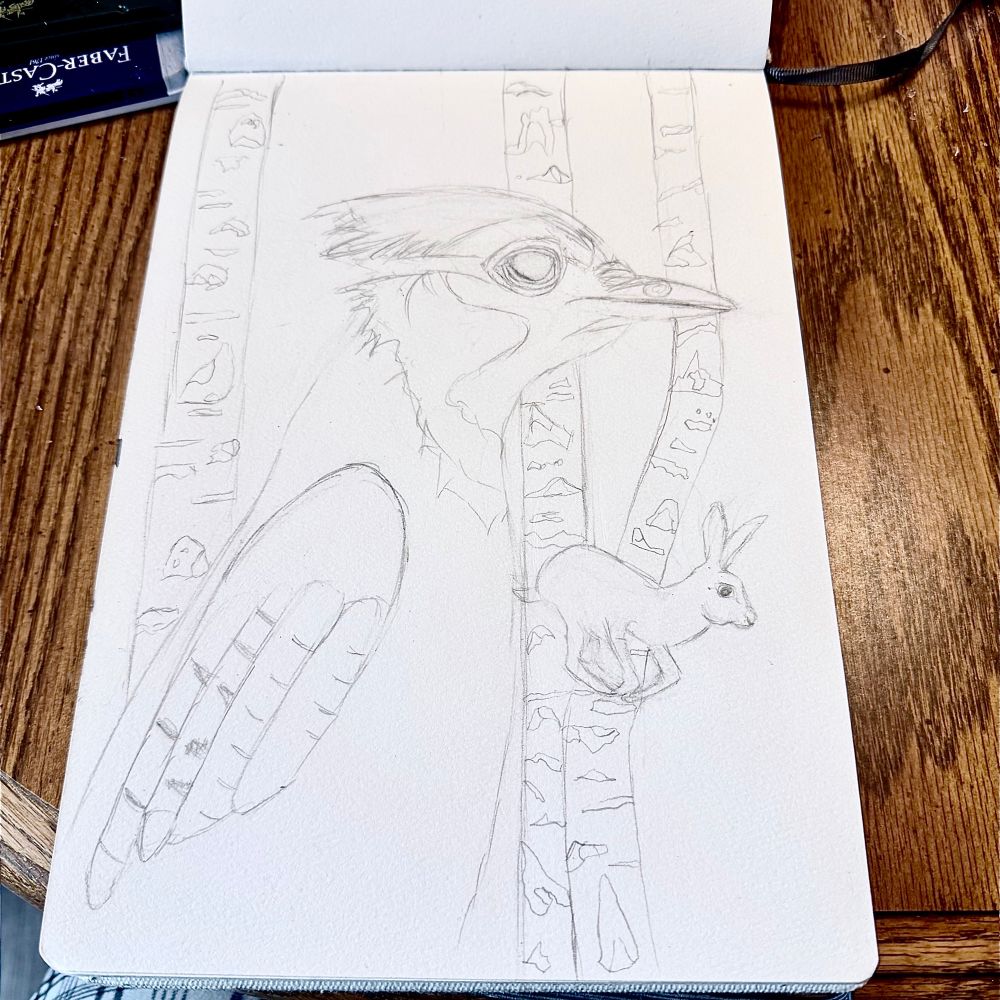 Pencil drawing of a blue jay, rabbit, and birch trees. In a watercolor sketchbook. This is a WIP. 
