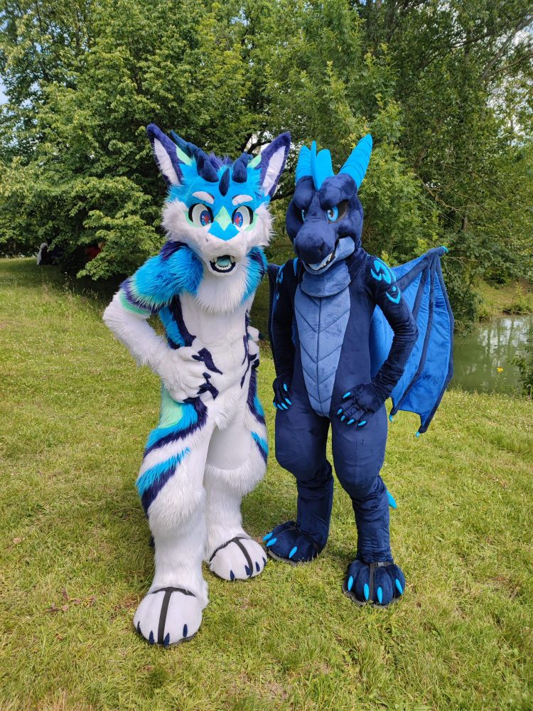 Two blue dragon fursuits standing in a parc