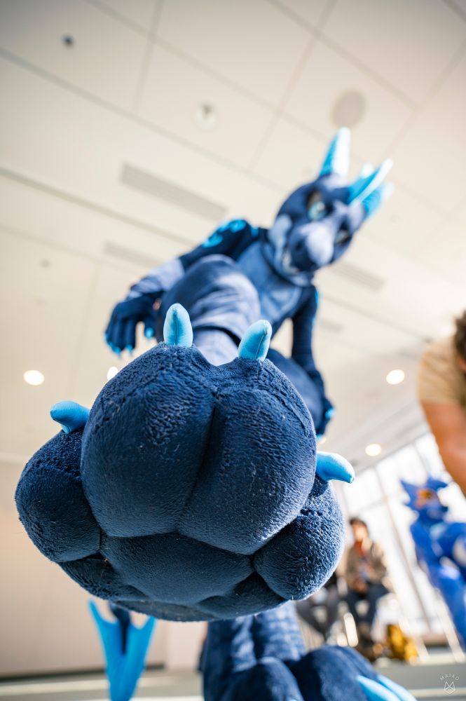 Photo of a dragon fursuit featuring its paws