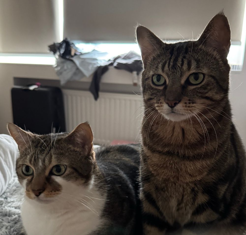 Sirius et Berlioz attendent le 1er ministre