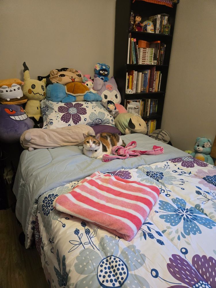 Rabico Cat being a loaf on a bed that has child-like bedding (purple and blue flowers of various sizes and patterns) and surrounded by plushies of both Sanrio and pokemon and general cute plushies 