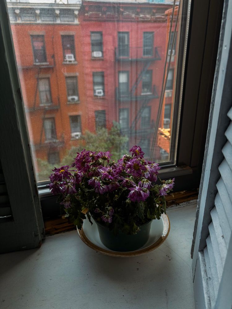 Photo looking outside the window on east 61st street in New York City 