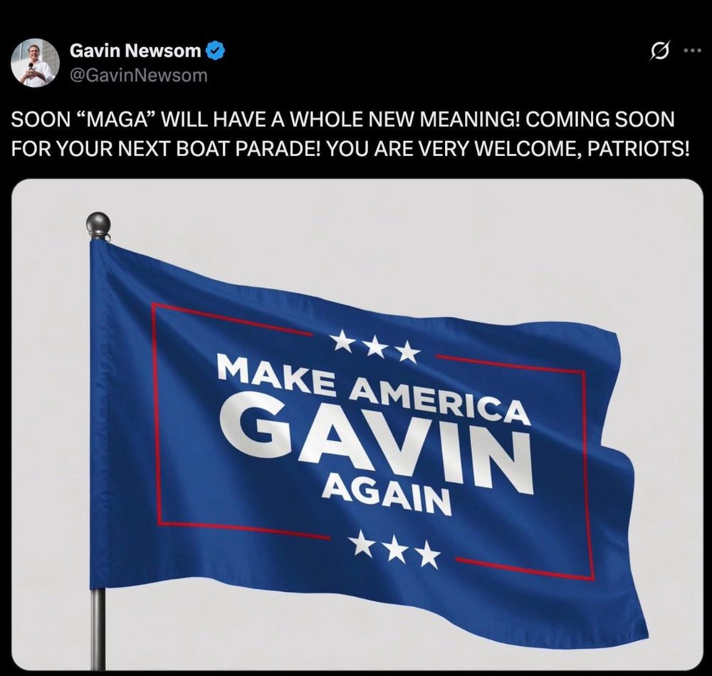 Flag designed in the style of a Trump campaign banner. It reads: “Make America Gavin Again.” 