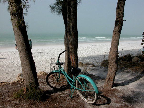 Beach with ocean view, ocean-colored bicycle in the foreground framed by three trees