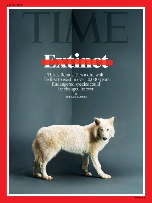 Time magazine cover showing Remus, a genetically modified grey wolf claimed to be a "dire wolf."

The headline reads: "This is Remus. He's a dire wolf. The first to exist in over 10,000 years. Endangered species could be changed forever."