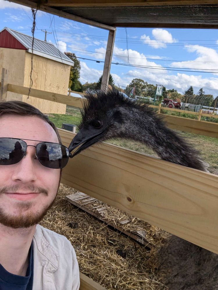 Silicon getting his sunglasses stolen by an emu