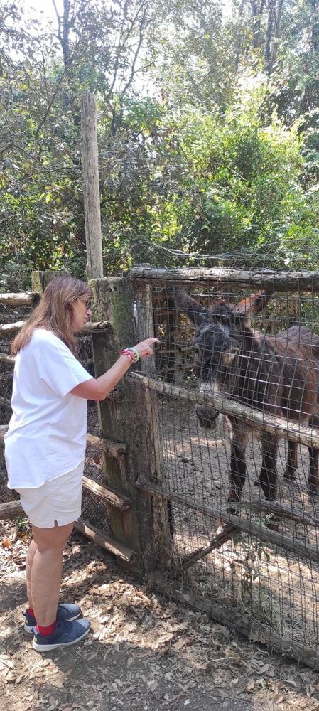 Questa sono io che mi alleno a stare sui social 🤣