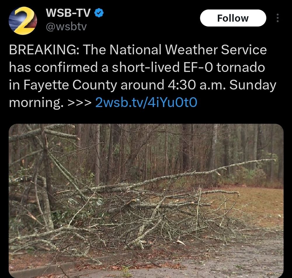 Screen shot of a news story with branches clumped together from a non tornado. 