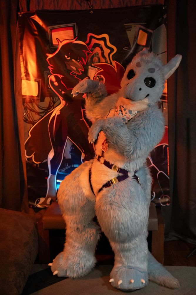 Light blue fluffy dragon fullsuiter does some pose I don't know how to name and looking into the camera with some saucy poster in the background