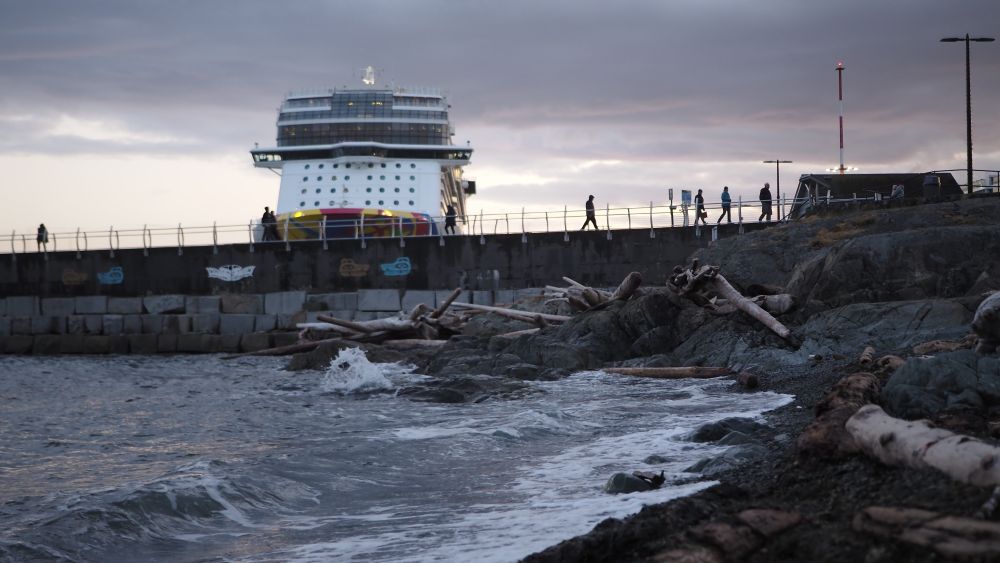 A rocky beach with lots of driftwood with a pier in the background with people on top and a Cruise ship's front peeking over everything