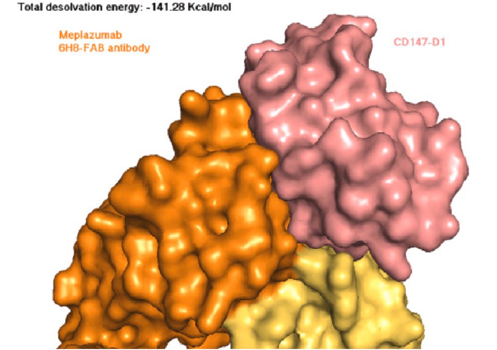 Zusammenhang zwischen Acquired Immune Deficiency Syndrome (AIDS) und SARS-CoV-2 N-Genotypen