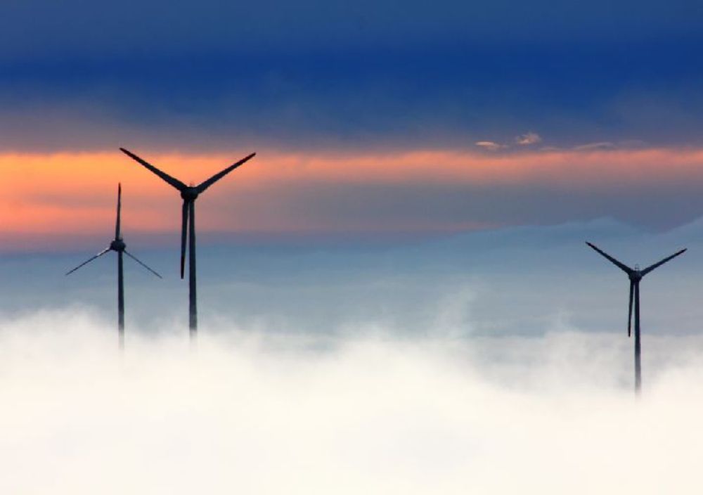 Durchbruch in der Windenergieforschung: Vögel weichen Rotorblättern erfolgreich aus - Keine Kollisionen in 2-Jahres-Studie