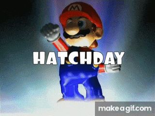 Mario Birthday Gif (except this time it says ‘Hatchday’)