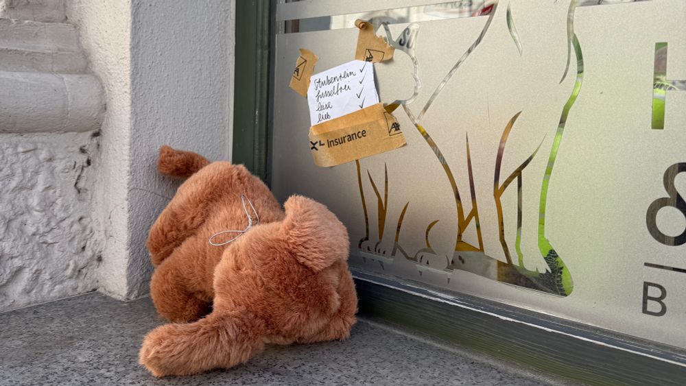 Auf dem Fensterbrett eines Tierbedarf-Ladens liegt ein Plüschhund. Hinter ihm an der Fensterscheibe klebt ein zugehöriger Zettel, auf dem steht: „stubenrein, fusselfrei, leise, lieb“ - je mit Häkchen dahinter. 