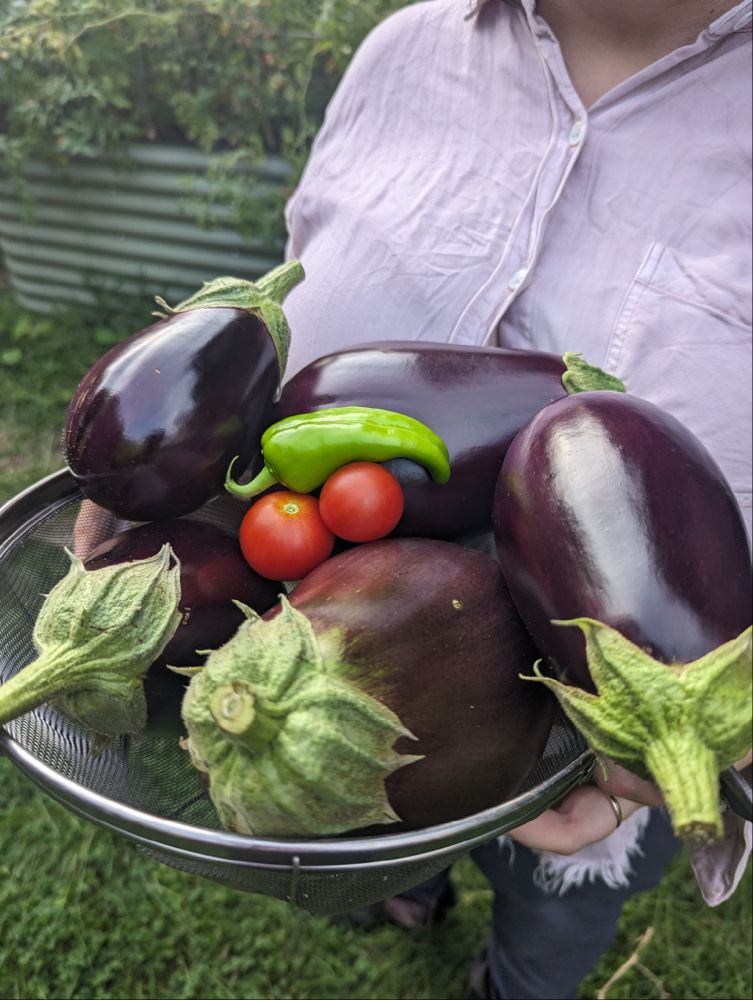 Comment image