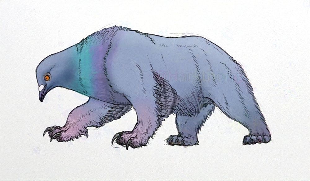 A black ballpoint sketch, digitally coloured, of a half bear half pigeon creature-the head and neck is that of a pigeon, and the body is bear, but there are a few long feathers on the back of the forelegs, and the forepaws have three toes with a smaller thumb