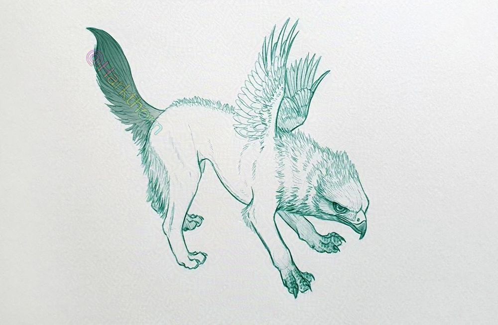 A green ballpoint pen sketch of a griffon with undersized wings and a fluffy tail
