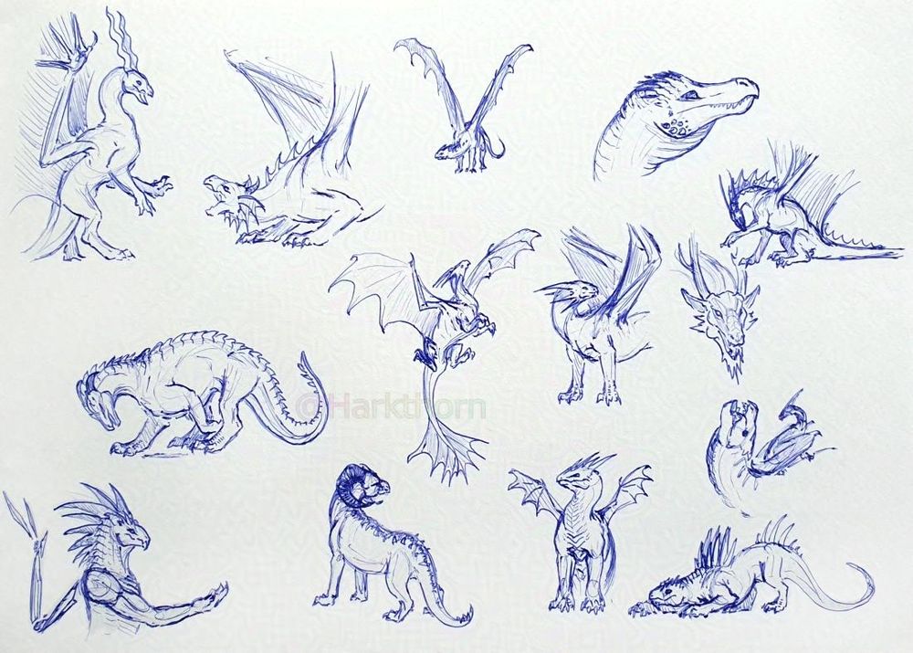 A sketchbook page filled with various sketches of all different kinds of dragons, drawn in blue ballpoint pen