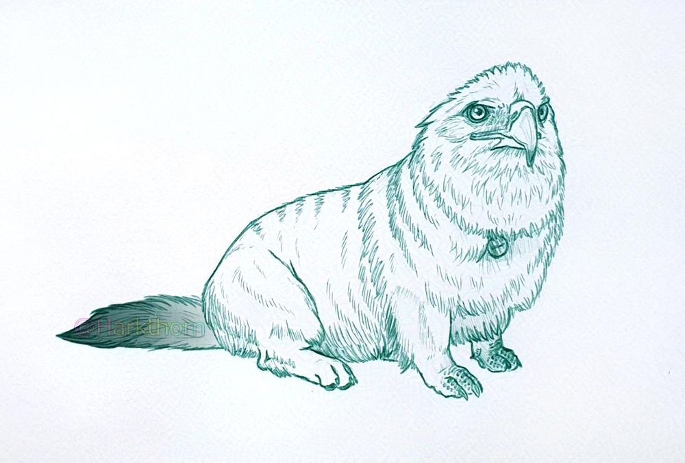 A green ballpoint sketch of a sitting wingless griffon, made up of an eagle and a corgi-type body. It has a fluffy tail and a collar
