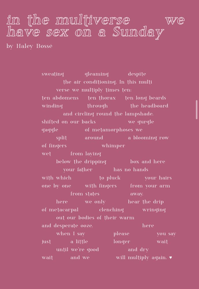 A screenshot of a poem called In the Multiverse We Have Sex on a Sunday