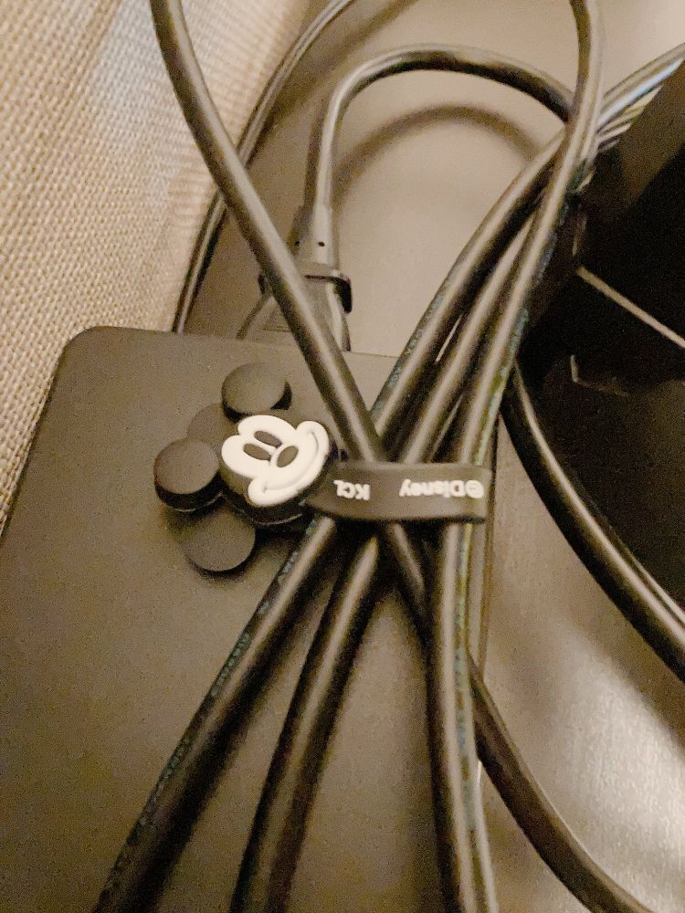 Mickey cable organizer comes with 2 for 100yen!