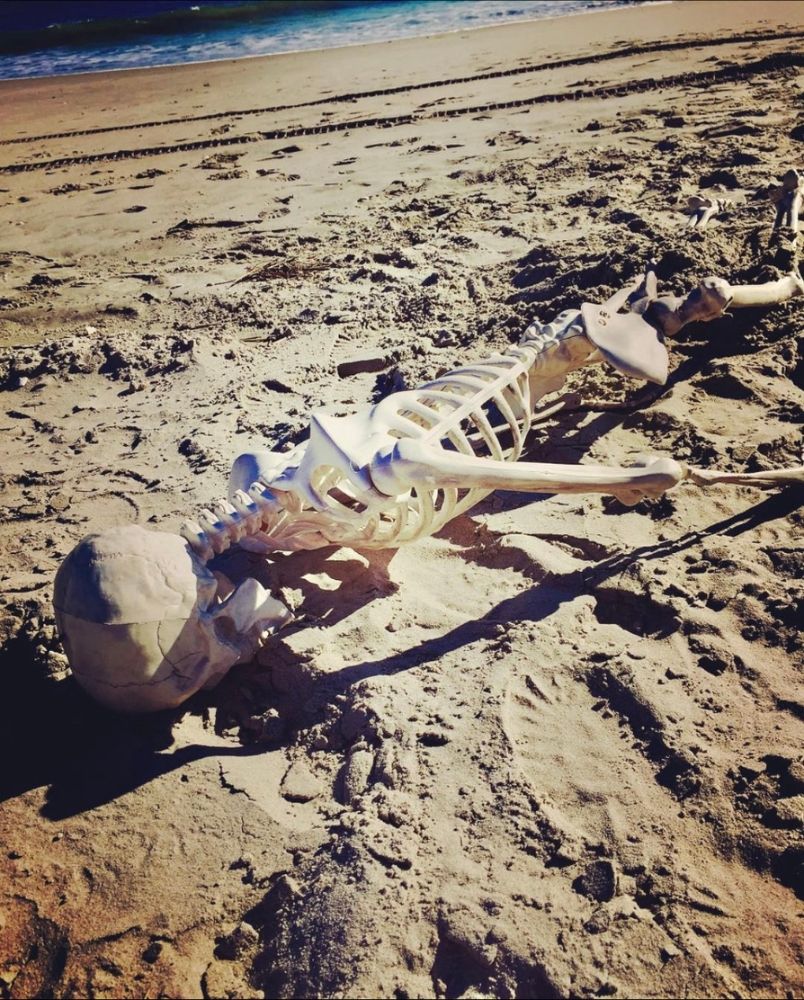 A bone white dry skeleton laying face down in the sand of a beach