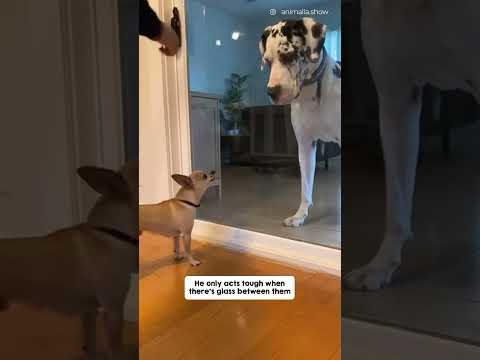 He got that base out his voice real quick when that door slid open 😂😂