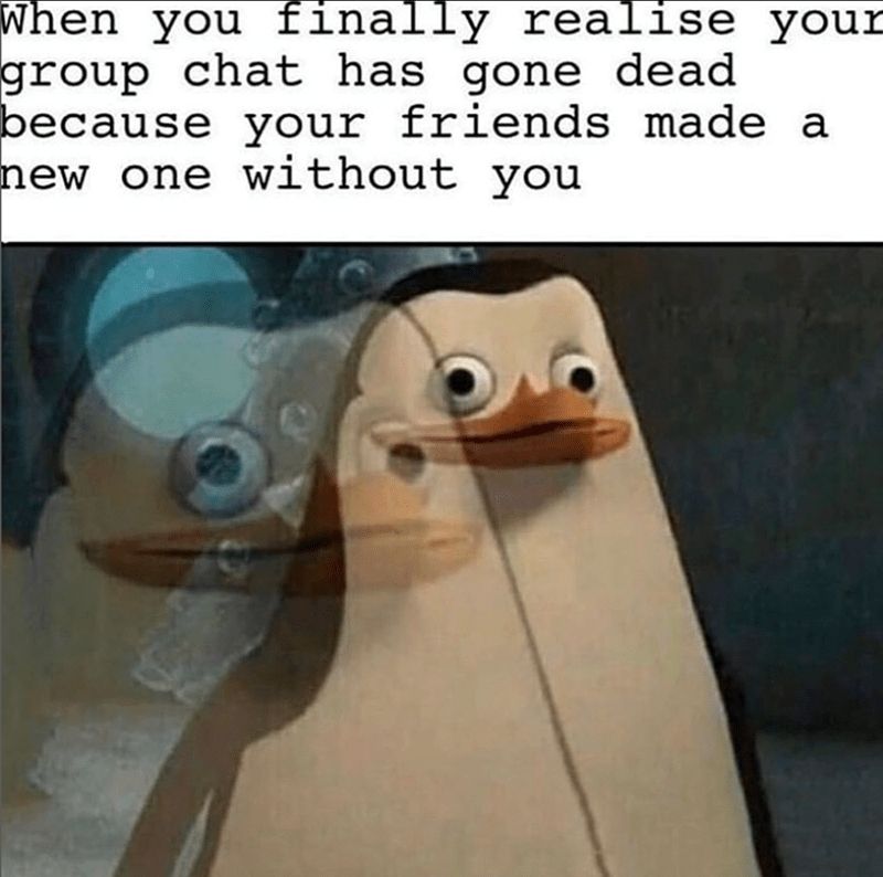 Le mème du pingouin de Madagascar avec la citation : "when you finally réalise your group chat has gone dead because your friends made a new one without you"