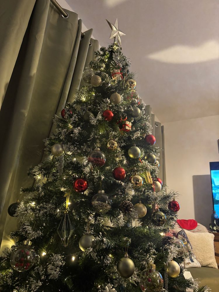 christmas tree
