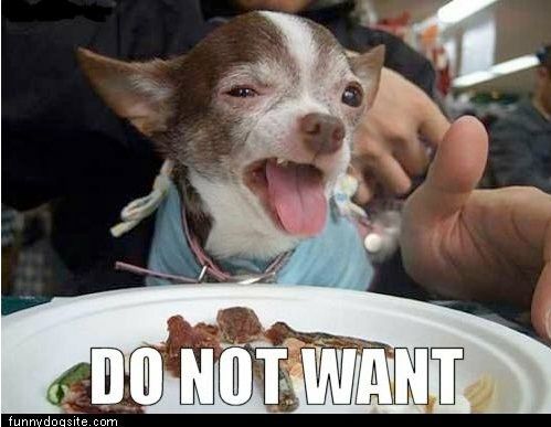 A dog’s face says “Do Not Want”