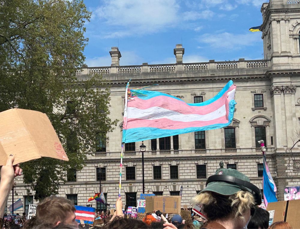 Trans flag flying at Parliament Square amid demonstrators.