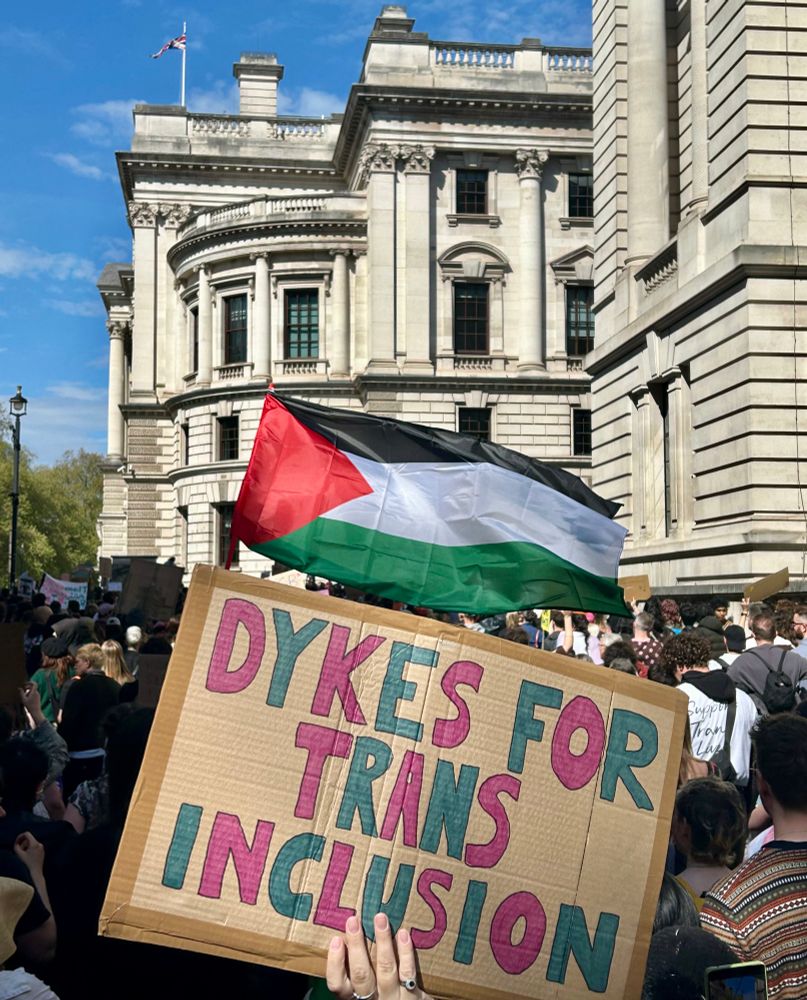 A Palestine flag and a placard reading "D*kes for Trans Inclusion", both held up by demonstrators on a street in central London.