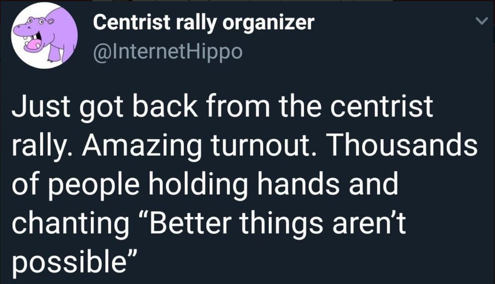 Print do Twitter
Centrist rally organizer
@InternetHippo
Just got back from the centrist rally. Amazing turnout. Thousands of people holding hands and chanting "Better things aren't possible"