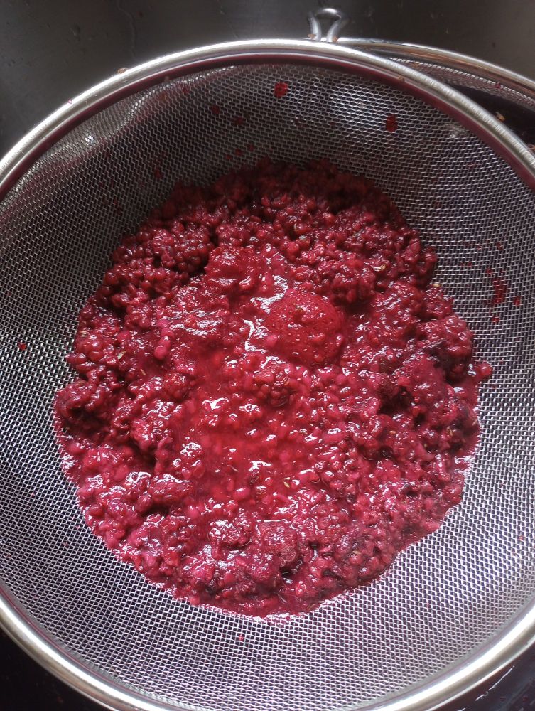 Photo of a mesh strainer with the remains of the solids from the jars in the previous post. It now resembles a mushy red goop.